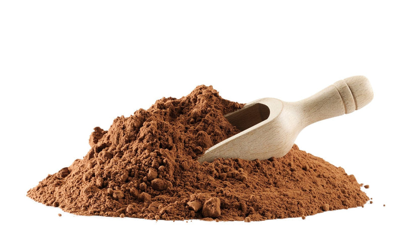 Mushroom Extract