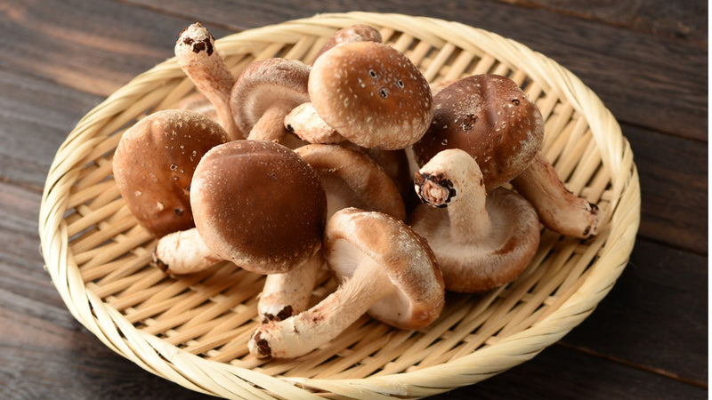 Fresh Mushrooms