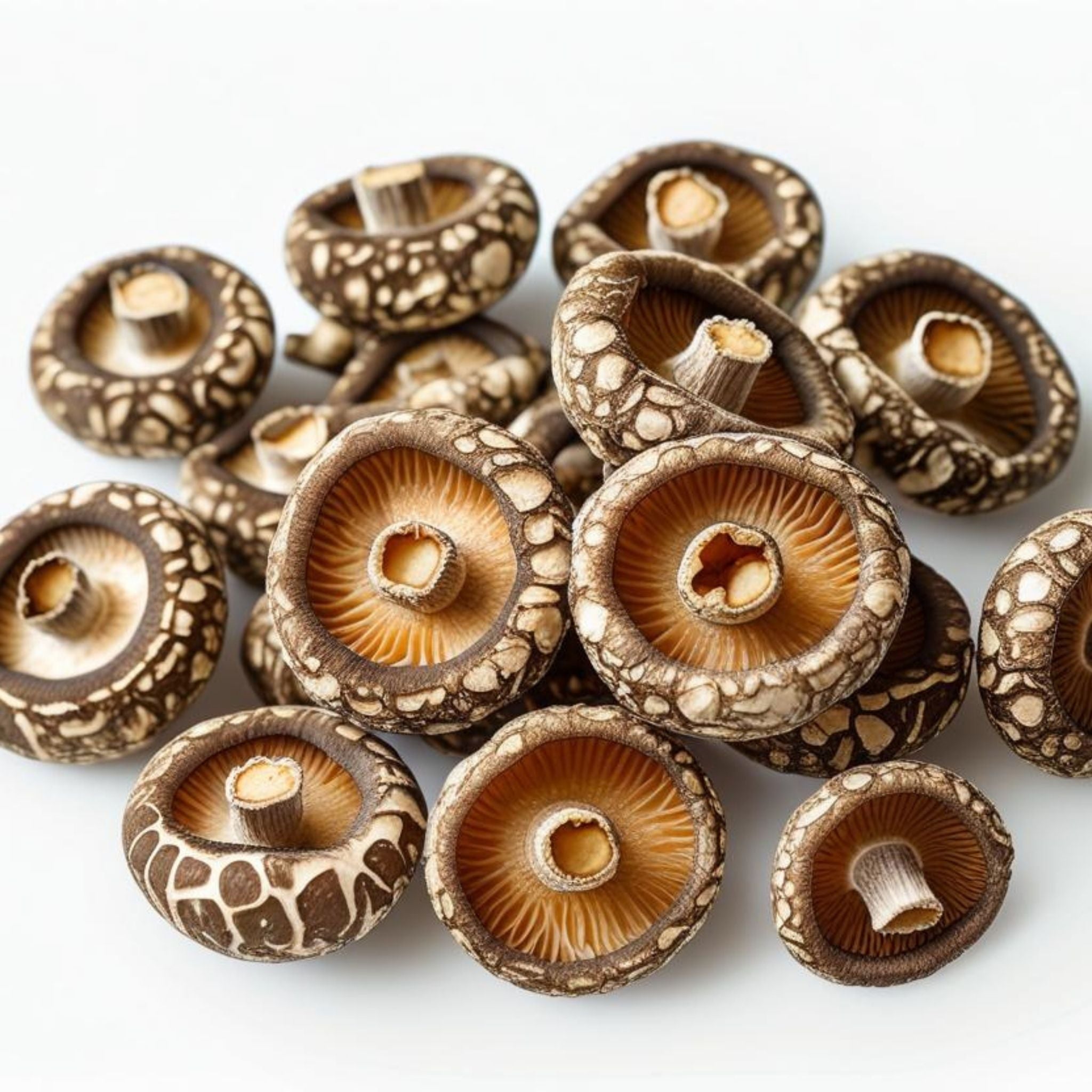 Premium Dried Shiitake Mushrooms (Whole)