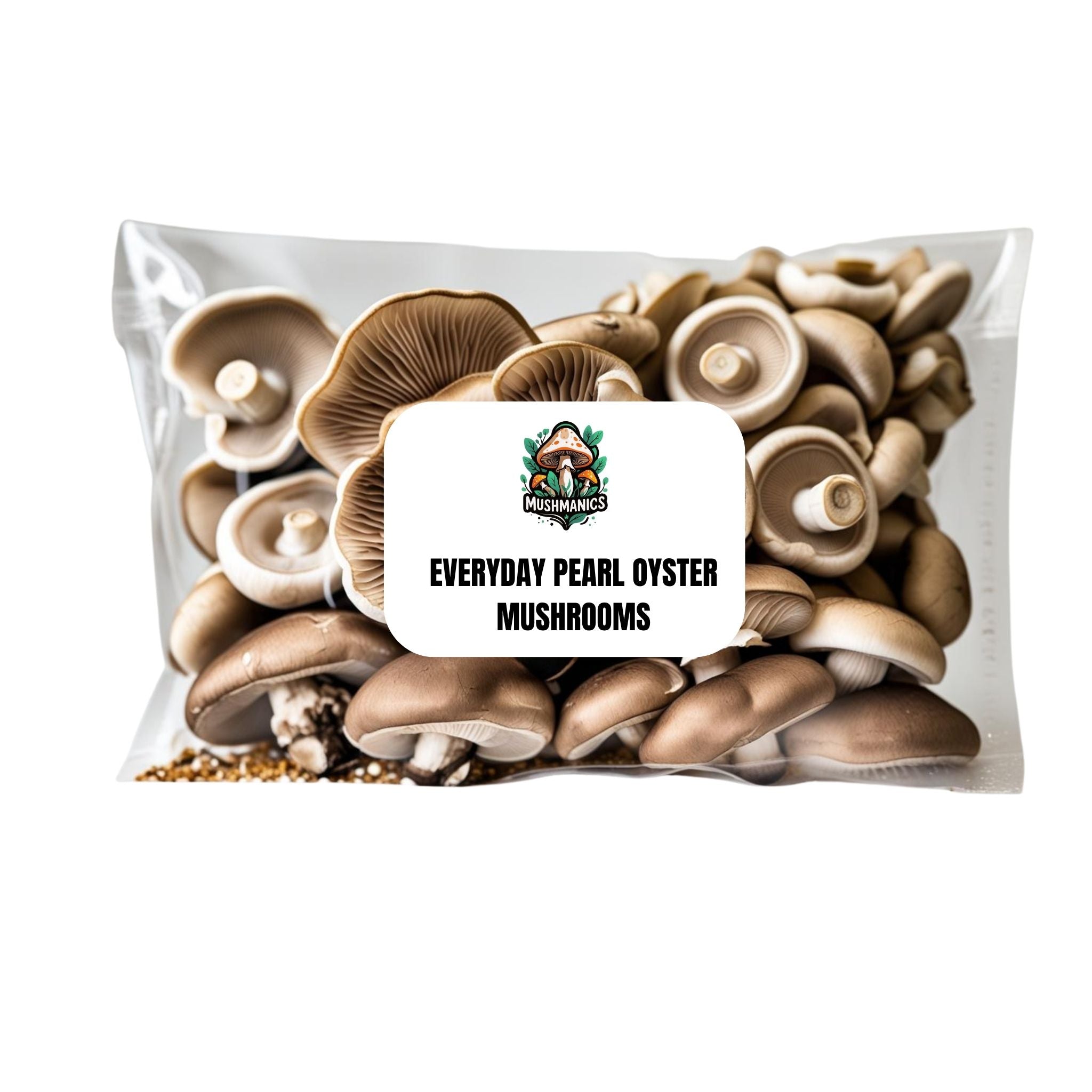 Everyday Pearl Oyster Mushrooms
