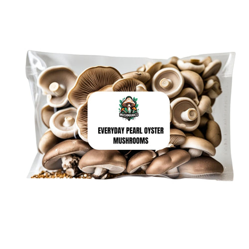 Everyday Pearl Oyster Mushrooms