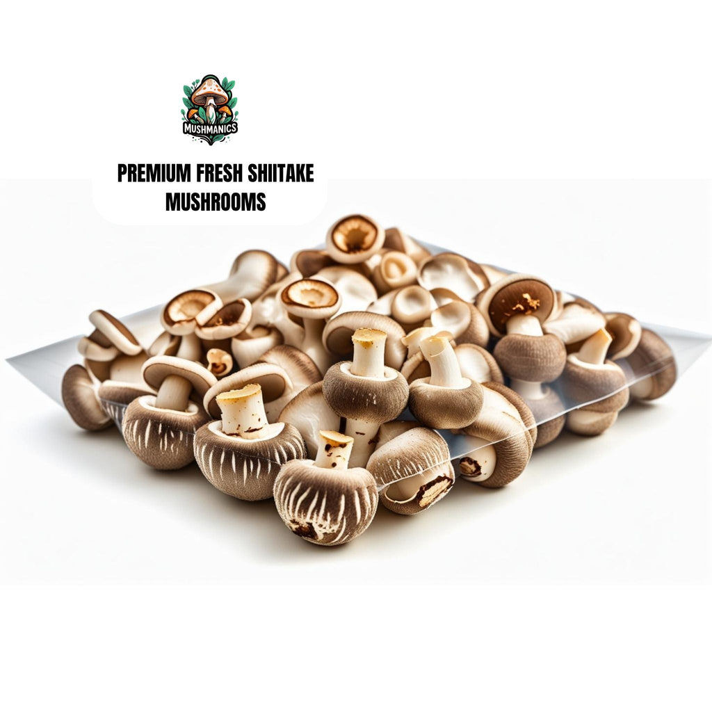 Premium Fresh Shiitake Mushrooms